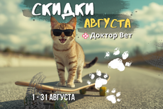 Августовский ценопад в «Доктор Вет»